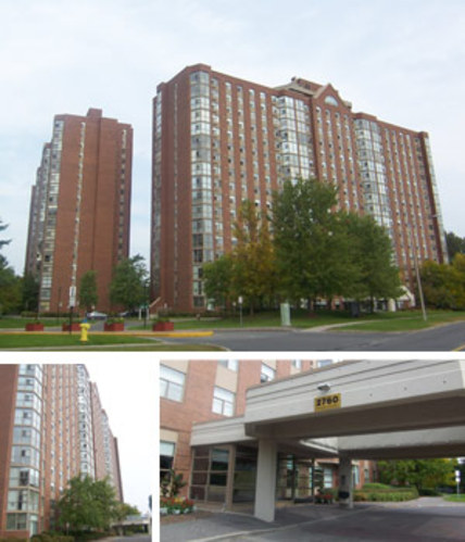 Enlarged view of image