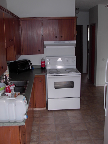 Enlarged view of image