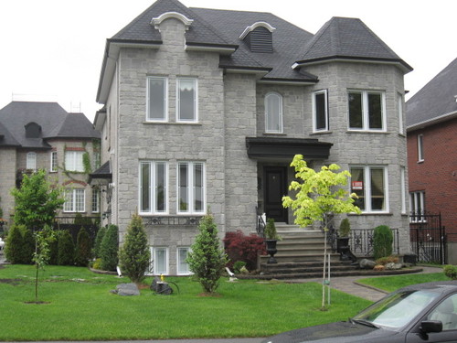Enlarged view of image