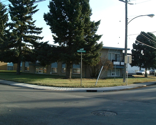 Enlarged view of image