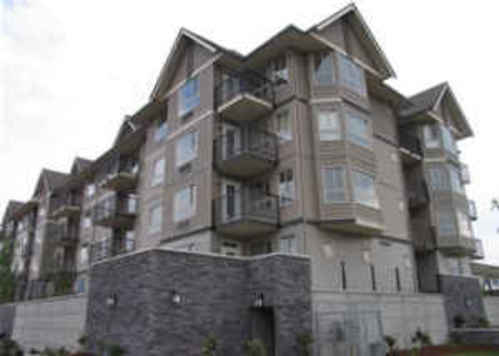 Enlarged view of image