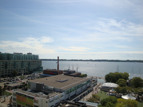 Enlarged view of image