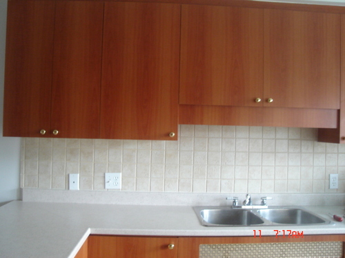 Enlarged view of image