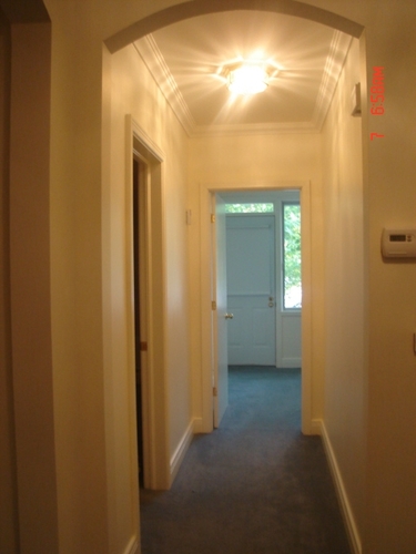 Enlarged view of image