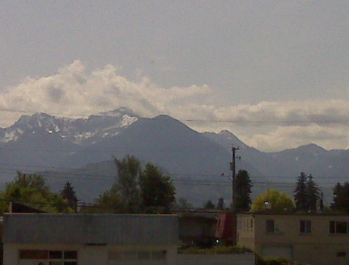 Enlarged view of image