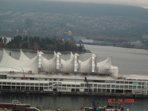 Enlarged view of image