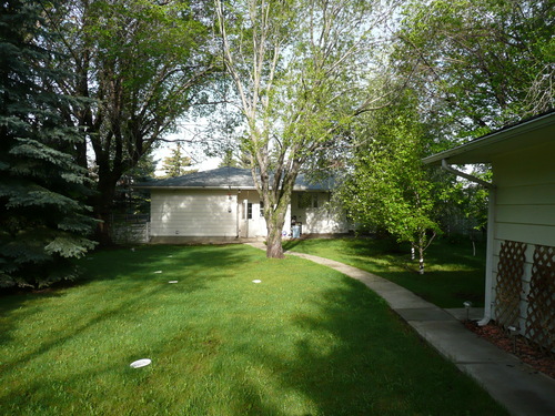 Enlarged view of image