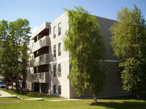 Enlarged view of image