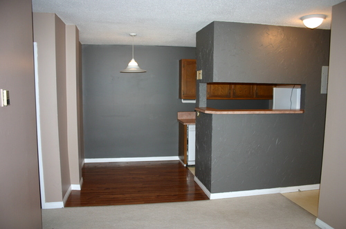 Enlarged view of image