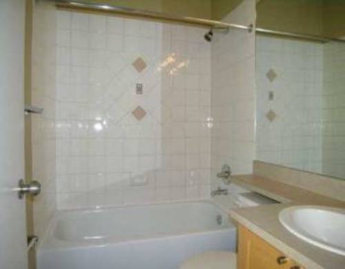 Enlarged view of image