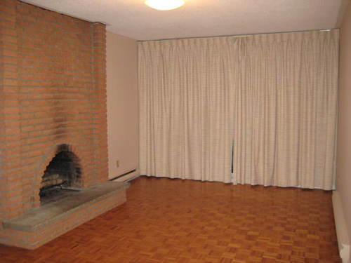 Enlarged view of image