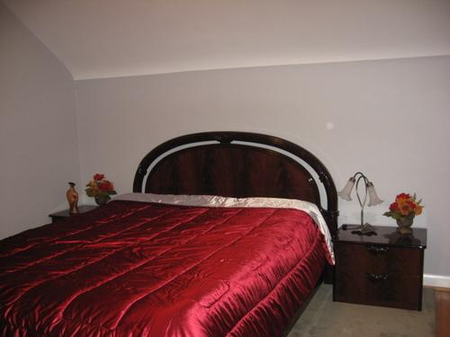 Enlarged view of image