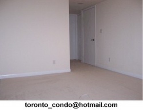 Enlarged view of image