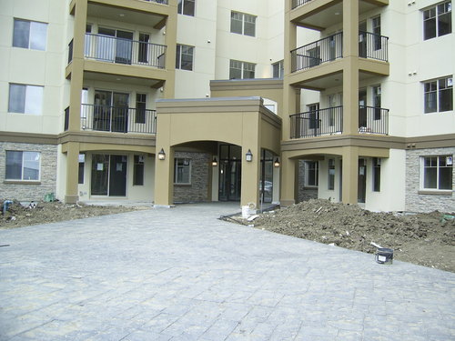 Enlarged view of image