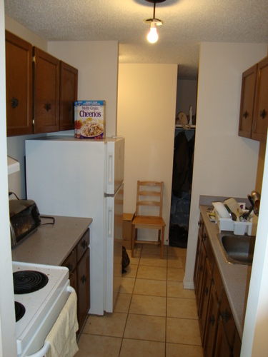Enlarged view of image