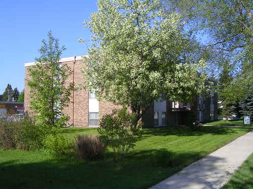 Enlarged view of image