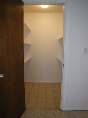 Enlarged view of image