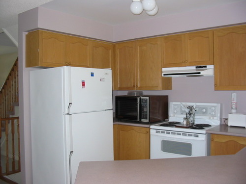 Enlarged view of image