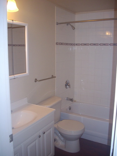 Enlarged view of image