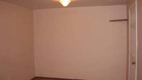 Enlarged view of image