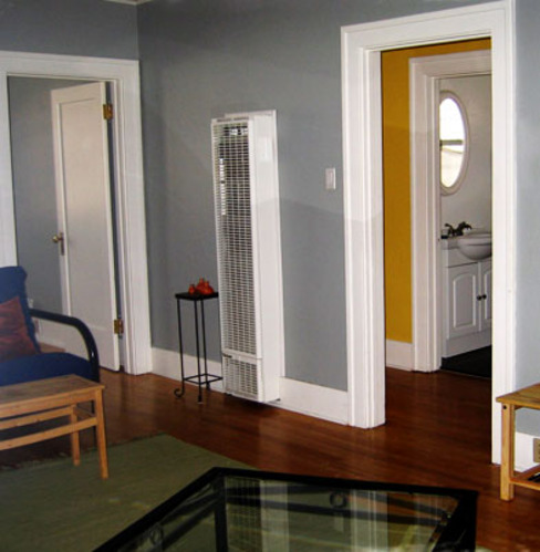 Enlarged view of image