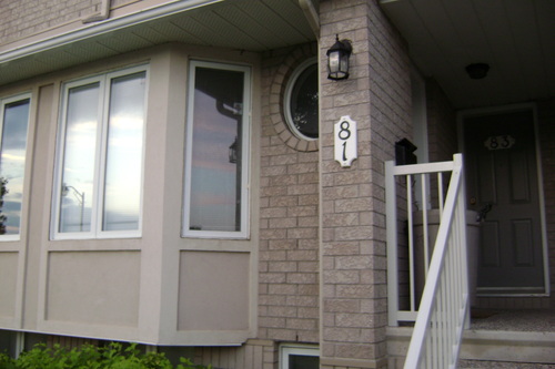 Enlarged view of image