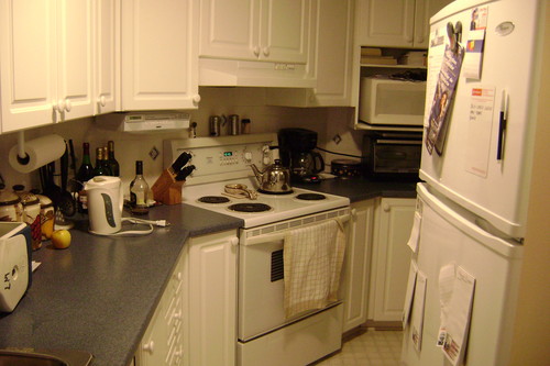 Enlarged view of image