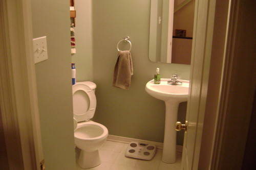 Enlarged view of image
