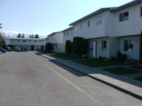 Enlarged view of image