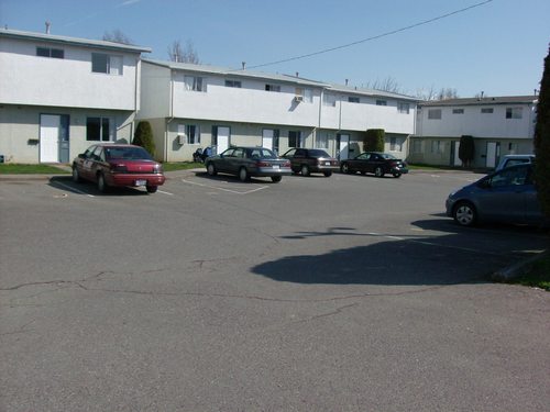 Enlarged view of image
