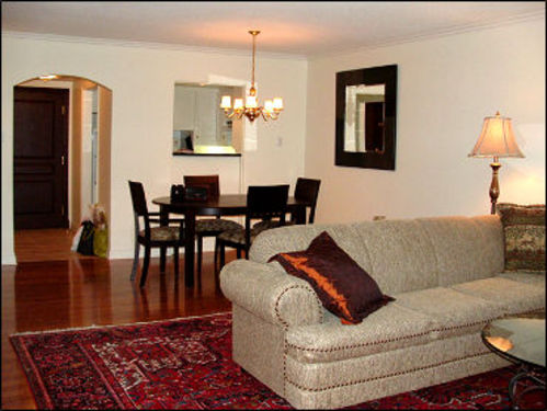 Enlarged view of image