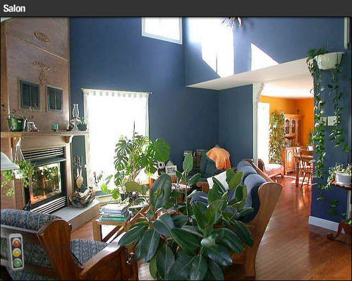 Enlarged view of image