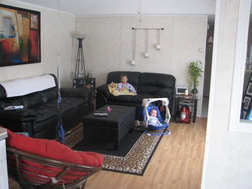 Enlarged view of image