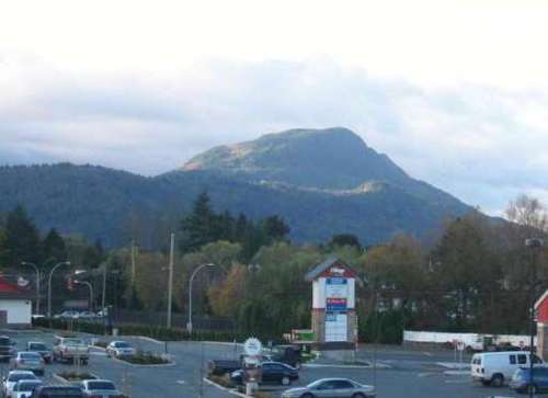 Enlarged view of image