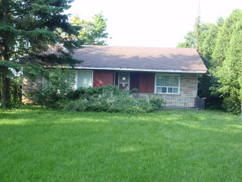 Enlarged view of image