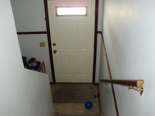 Enlarged view of image