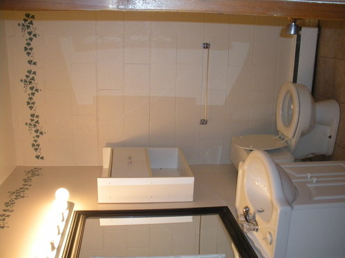 Enlarged view of image