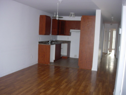Enlarged view of image